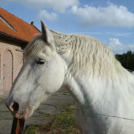 't Hennekot Palingbeek *